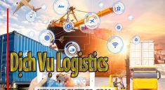 Dịch Vụ Logistics Là Gì? Các Dịch Vụ Logistics Chủ Yếu